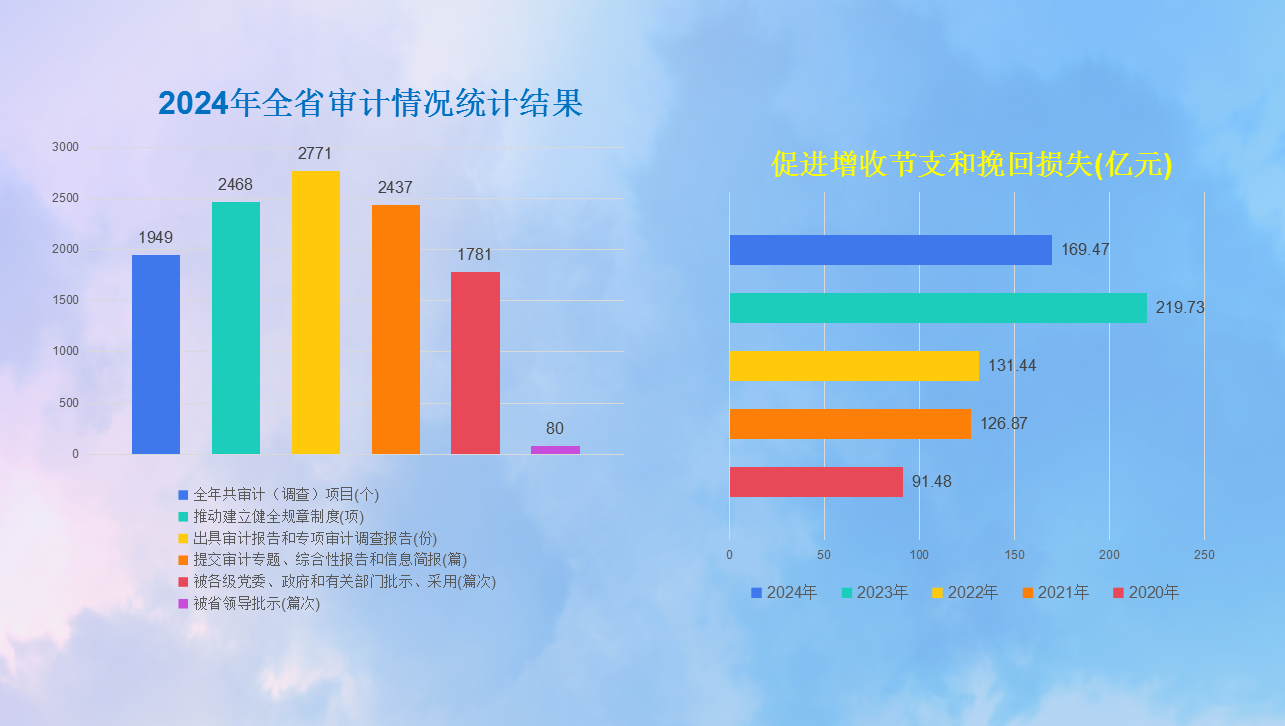 2024年全省审计情况统计结果.png