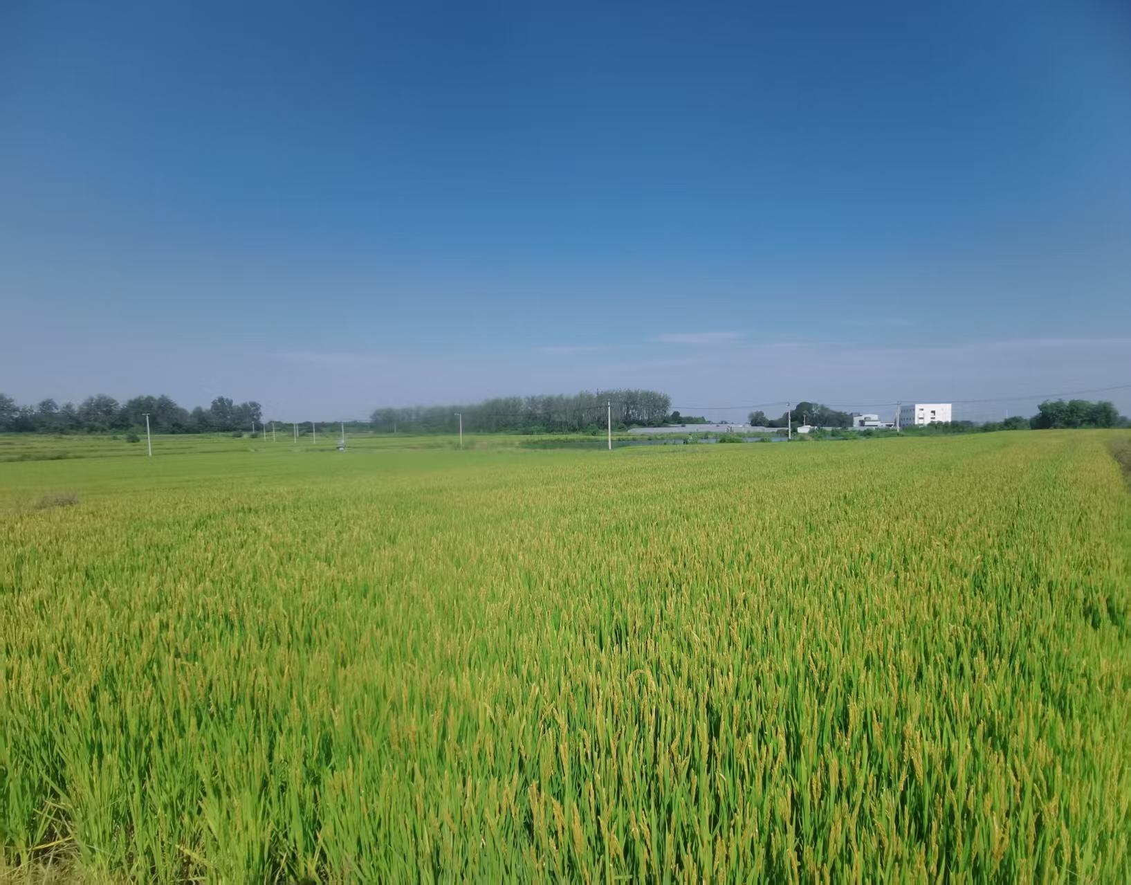 89be6d27d826cec2ca5652d82e265c9c.jpg