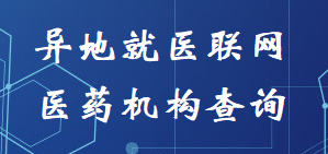 异地就医查询