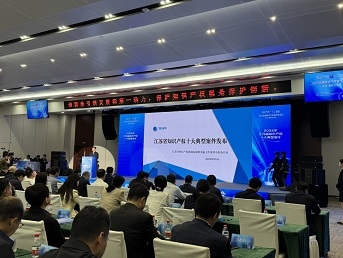 重击新型侵权！“2024年江苏省知识产权十大典型案件”发布